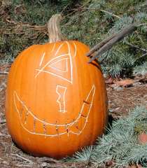 Pacso, Nipomo Pumpkin Patch, carving idea